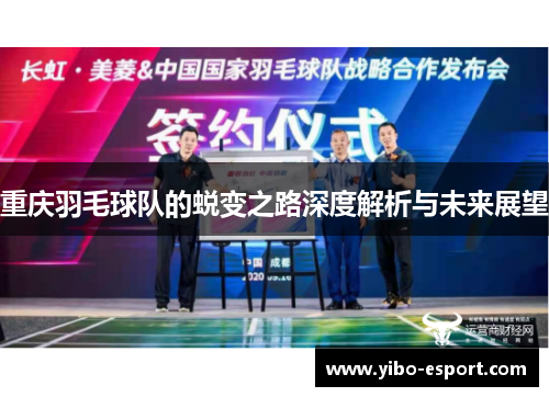 重庆羽毛球队的蜕变之路深度解析与未来展望