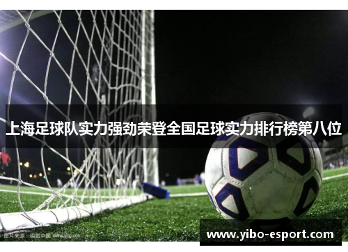上海足球队实力强劲荣登全国足球实力排行榜第八位