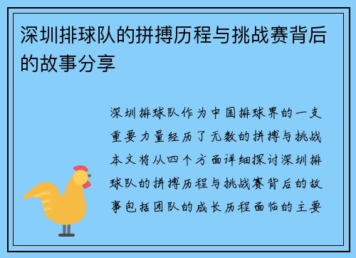 深圳排球队的拼搏历程与挑战赛背后的故事分享
