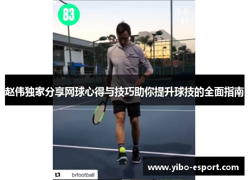 赵伟独家分享网球心得与技巧助你提升球技的全面指南